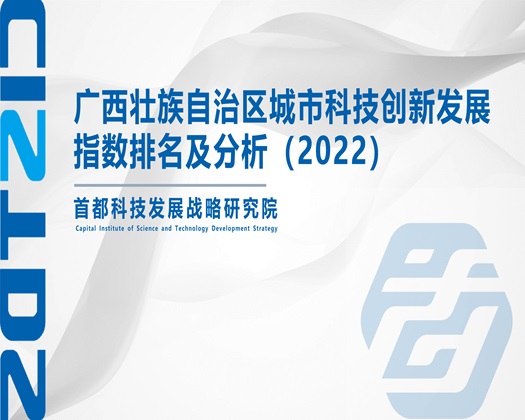 大鸡巴大屌狂操浪骚穴视频【成果发布】广西壮族自治区城市科技创新发展指数排名及分析（2022）